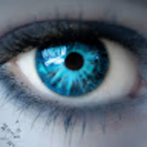 Meet your Posher, Blue